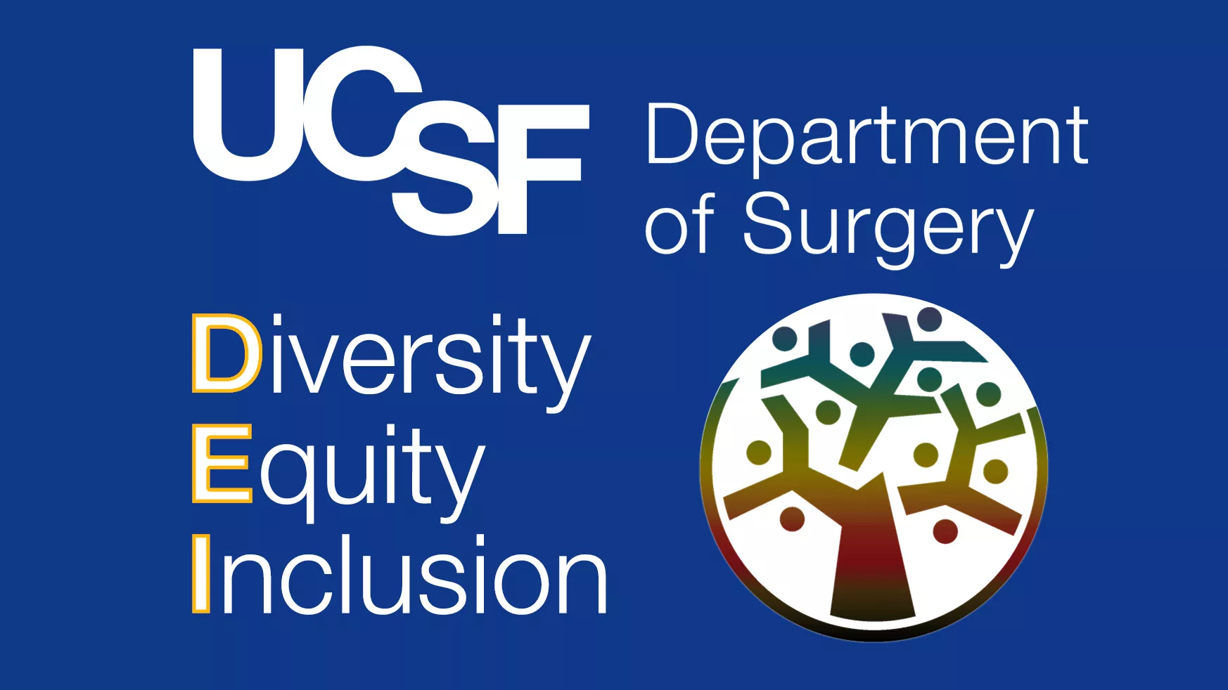 DoS DEI homepage banner